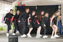 53Weckfrsserfest_2025_Dancing-fires5_P1120539