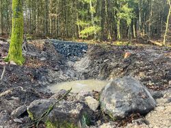 Bild2 Rigole mit Sickermulde