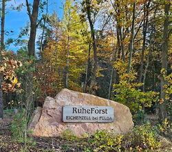 Eingang RuheForst Urheber Rebecca Witzel