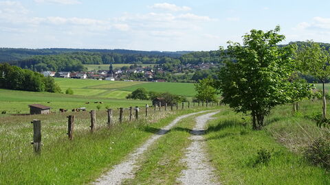 Landschaft Büchenberg Manfred Schwab