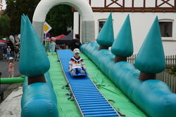 Rollenrutsche
