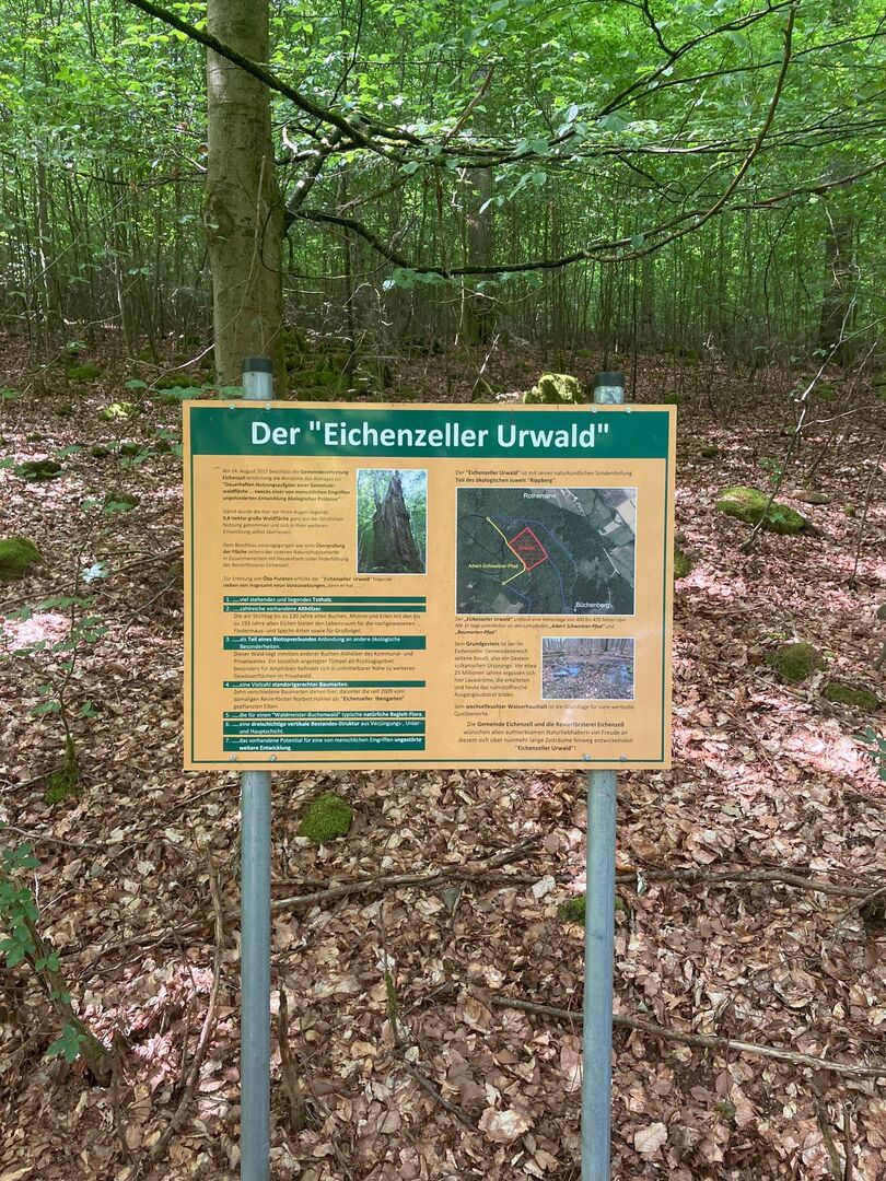 Photo 2023-07-17 12.11.50 PM