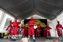 Schreckschräubchen 5