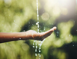AdobeStock_522932344